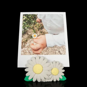 3D Printed Photo Frame Daisy Duo